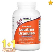나우푸드 레시틴 과립 454g 2통, 기본, 1개