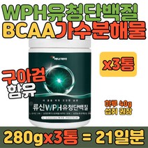 분리 유청단백질 WHP 아미노산 구아검 함유 쉐이크 로이신 프로틴 헬스 요가 근육 보조 영양 보충제 20대 30대 40대 여자 여성 남자 남성 마시는 식품 추천