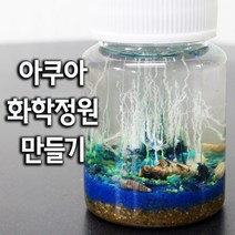아쿠아 화학 정원만들기(5인)