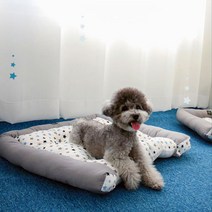 강아지 별패턴 포토존 푹신한 기절 쿠션 노견방석