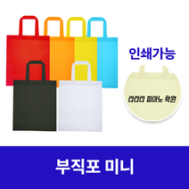 부직포가방 미니 부직포백 보조가방 시장바구니 신발주머니 쇼핑백 인쇄 가능, 스카이블루, 1개