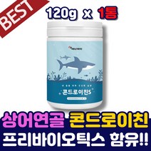 직장인 여성 유산균 콘드로이친 복합 분말 복용법 성인 남성 콘드로이틴 어골 칼슘 초록입홍합 분말 시니어 노인 70대 보스웰리아 빌베리 백수오 콘드로친 파라바이오틱스 유산균