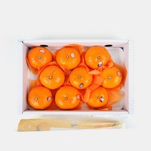 [초록자연] 천혜향 5kg(8-10과) 제주 감귤, 상세 참조