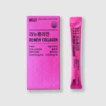 웰릿 리뉴 피쉬 콜라겐 펩타이드 콜라겐/히알루론산, 14포, 1개