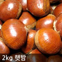 2022 햇밤대 2kg ~ 4kg 깐밤가능 공주부여 알밤 하양마트, 2022햇밤(대)2kg+밤가위