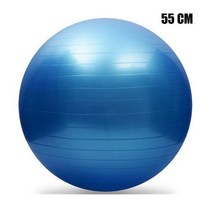 55/65/75/85/95 CM 요가볼 필라테스 피트니스 밸런스 볼 체조 임산부 배달 운동 피트니스 조산 PVC 볼, 본상품, blue 55 CM 옵션