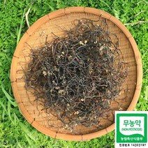 백운농원 국내산 고사리 무농약 건고사리 100g 1박스, 모악산 자연산 건고사리100g