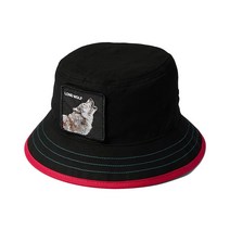 고린 브라더스 코스타 로보