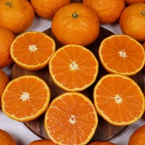 제주도 카라향 귤 5kg 선물용