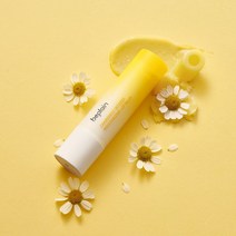 비플레인 캐모마일 듀얼 보습 립밤 3.6g
