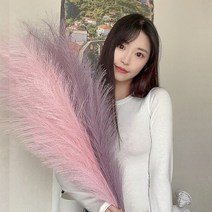 까유니아 핑크뮬리 팜파스 인테리어조화 꽃장식 조화꽃, 7.코랄레드