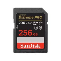 샌디스크 High Endurance 블랙박스 마이크로 SD 카드 CLASS10 100MB/s (사은품), 64GB
