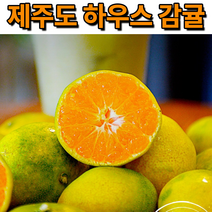 꿀꿀도매 제주 하우스 감귤 1kg2kg3kg5kg, 1개, 5kg(꼬마(2S 미만))