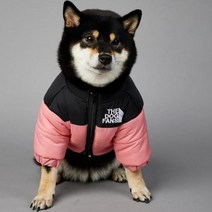 2023 SUPREPET패딩 개 겨울 옷 따뜻한 방풍 솔리드 코트 코튼 디자이너 대형 강아지 액세서리, 분홍색+5XL