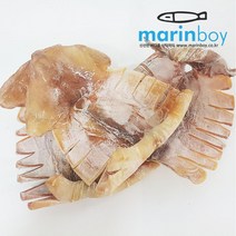 마린보이푸드 몸통오징어 500g 마른오징어, 마른오징어 몸통오징어 500g
