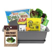 월드가드닝 베란다 정원 채소키우기 화분분갈이 흙 씨앗 텃밭세트 (8종), 뷰티6호 텃밭세트(진그레이)