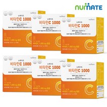 뉴메이트 비타민C 1000 (6박스1200정온가족용), 1.1g, 6박스
