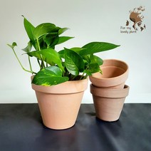 데로마 바소 23cm 27cm 이태리 토분 화분 고급 인테리어 토분, 화이트