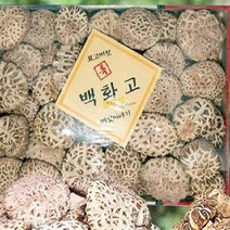 (SM)더해담 백화고 표고세트 1호 강원도 산골 참나무 원목재배, 상세페이지 참조