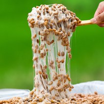 된장푸는남자 떠먹는 발효콩 600g