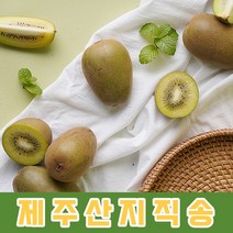국내산 제주 산지 직송 스위트 골드 망고 키위 최상급 2.5kg 5kg [노블프레쉬], 골드 망고키위 소과 5kg(75개 내외)