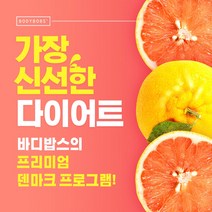 바디밥스 2주 덴마크 다이어트 프로그램 다이어트 정기배송 단기 식단, 2주 실속상품 마테차