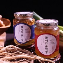 국내산 생강으로만든 꿀생강총백청 500g, 1개