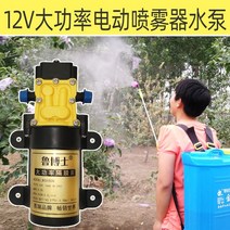 고압살수기 농약 동력 전동 분무기 전기 분무기 워터 펌프 고압 소형 12V 모터 다이어프램 펌프 모터 농업 분무기 액세서리 Daquan, [05] 지능형 펌프 고성능 5500 범용 종료
