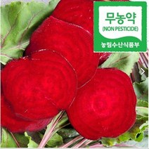 유기농 무농약 고당도 햇 레드비트 제주비트 2kg 3kg 5kg 10kg, 정이가 무농약 고당도 햇레드비트 10kg