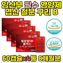 임산부 영양제 엽산 철분 구리 임신준비 60캡슐x4통 보조제 수유부 전 산모 초기 추천 헴철 비헴철 선물 출산 후 생성 태아 유지 대사 글루콘산 와이프 아내 비타민B 철분제