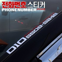 [차랑] 자동차 전화번호스티커 주차번호스티커 차량 익스테리어 튜닝 랩핑 필름, 홀로그램-B타입-50x5xm(대)