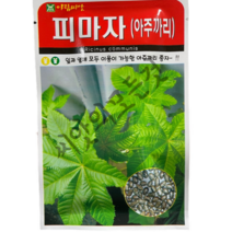 피마자씨앗 50립 아주까리씨앗