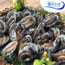 [해신수산] 라면전복 13~22마리 300g 산지직송, 단품