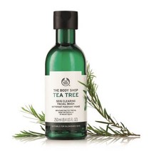 [더바디샵] 티트리 스킨 클리어링 훼이셜 워시 250ML 18412, 1개