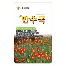 매발톱꽃 400립 - 야생화 씨앗 꽃씨 씨 꽃씨앗 매발톱꽃씨앗 매발톱꽃씨 야생화씨 야생화씨앗 꽃 매발톱, 17_다농_만수국(80립)