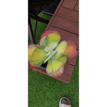 팅커벨 당인금(대품), 1개