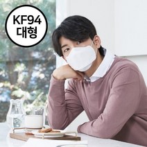 KF94 늘푸른마스크 10매 무형광마스크 황사마스크 중형 대형 블랙 KF-94 써멀본드마스크 써멀본드KF94, 화이트