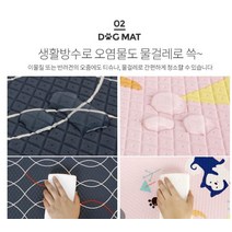 laterior 먼지없는 매트