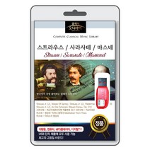 (정품 음악USB) [클래식 오디세이] 스트라우스 / 사라사테 / 마스네 52곡 수록