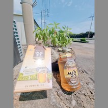 제주토종야생 벌꿀 2.4kg, 1개