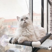 일월전빵 고양이 메쉬 해먹 윈도우 캣타워