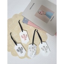 향기퐁당 선인장 타블렛 석고방향제, 화이트그레이, 메리미