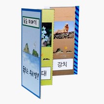 독도의날 동식물 관찰 병풍책 만들기 교구 팝업북 놀이 7살 손작업 집콕생활 마을강사 인성