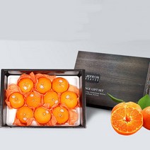 레드향 선물세트 제주 명품 3kg 감귤 사은품 증정, 레드향3kg(+감귤3kg 사은품), 1개