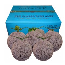 세론이 멜론 나주메론5kg12브릭스, 머스크메론3과