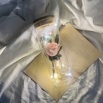 라알레그리아 LED 유리병 꽃다발 편지지 세트, 분홍장미