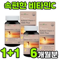 팜그린버퍼드비타민c2박스 똑똑한 구매 방법