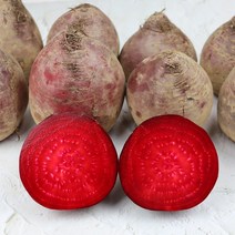 제천 제주 생비트 레드비트 고당도비트 비트 3kg 5kg, 고당도 비트 3kg