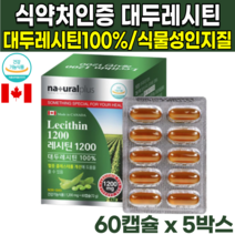 50대 60대 70대 식약처인증 캐나다 직수입 산 식물성 100% 대두 소이 레시틴 레시틴 레시친 non gmo 인지질 60% 포스파티딜콜린 포스파티콜린 혈중 콜레스테롤 개선 도움, 60캡슐X5박스(10개월분)
