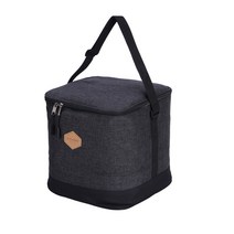 한국 스노우라인 휴대용 프로판 연료식기 아웃도어 수납 가방 자가용 캠핑, 스토리지 가방 없음. L